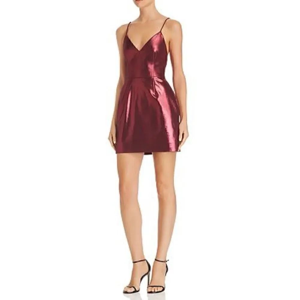 Ronny Kobo Mirabelle Mini Dress